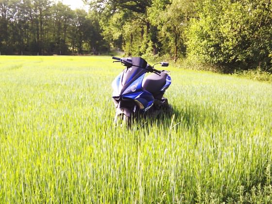 Ein Jet im Kornfeld ♥