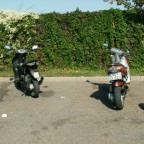 mit matze (marktfrau) in stuttgart