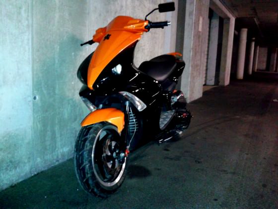 orangeblack jetts