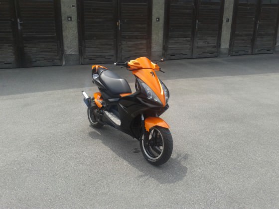 orangeblack jetts
