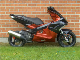 projekt 2010