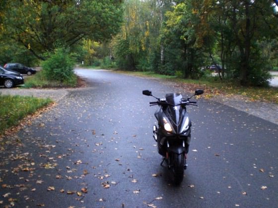 Der Herbst kommt...