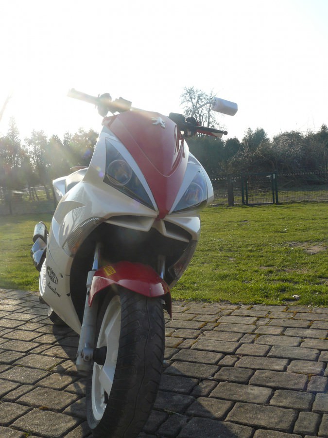 Paar Bilder ;)