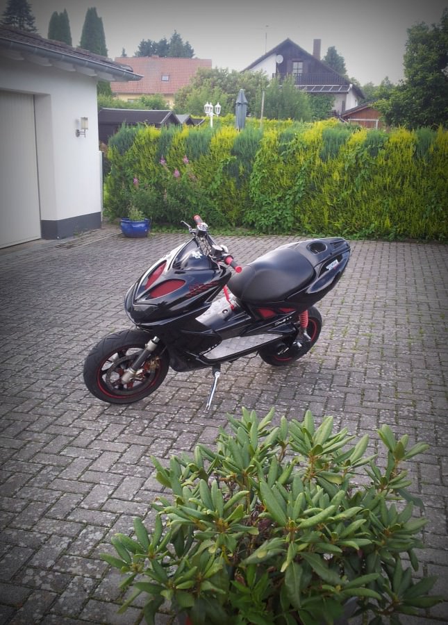Liebling <3