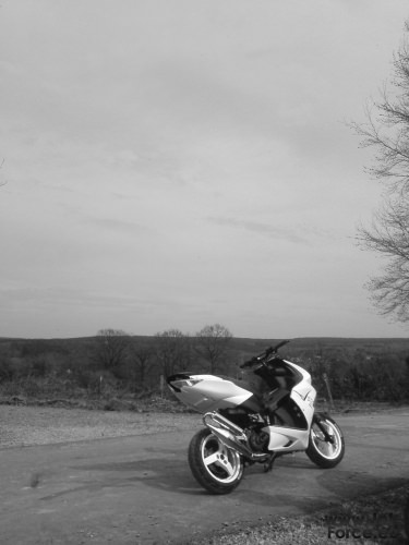 die schöne eifel <3