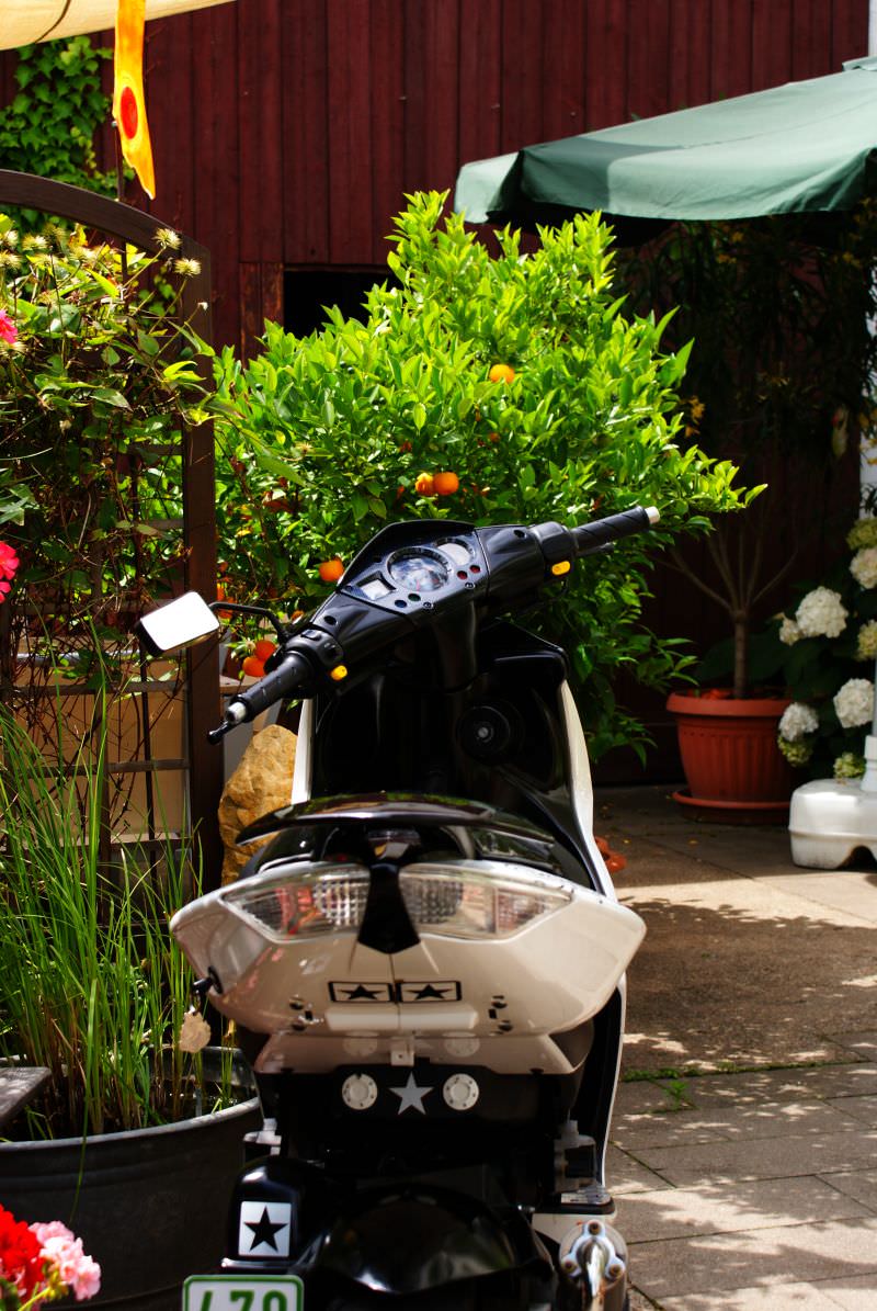 -neu August 2010