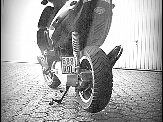 Foto0460trhjrz