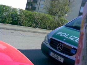 Die grünen vor meiner Haustür