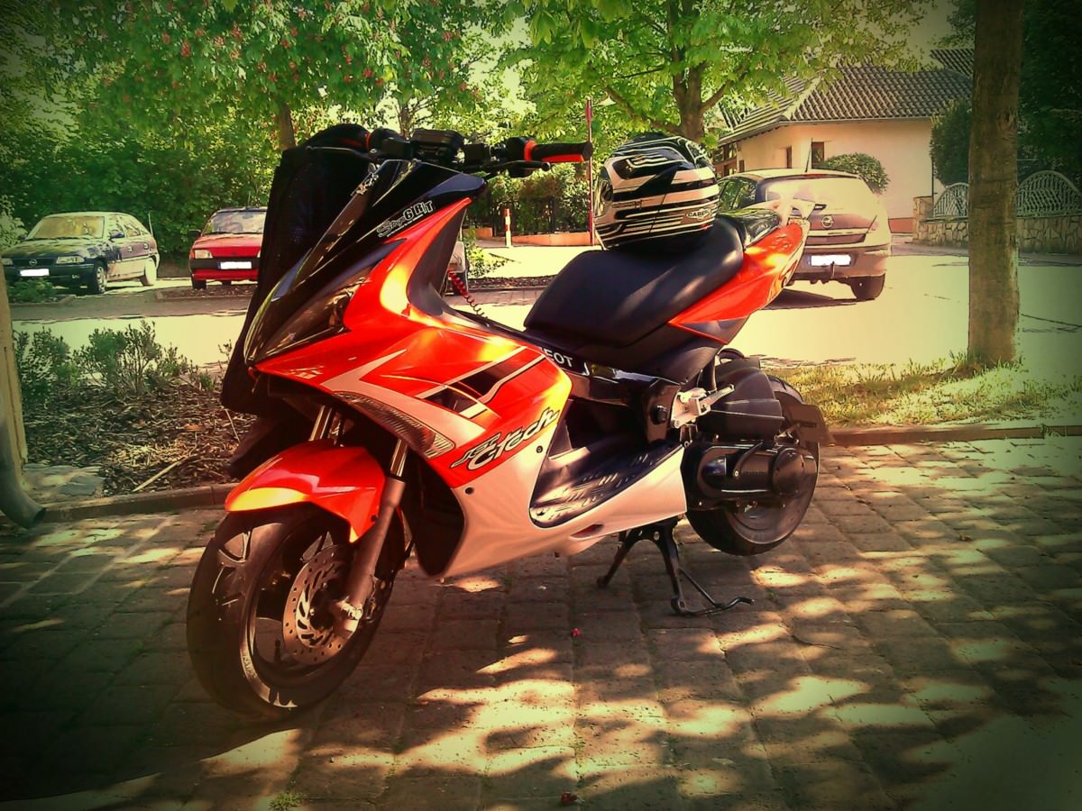 Bald Sportpott