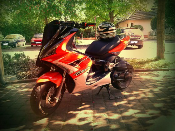 Bald Sportpott