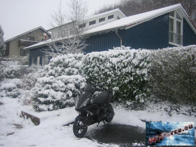 sCHNEExD