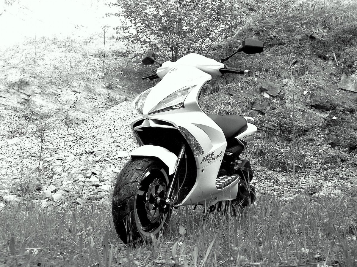 Gestern im Wald :P