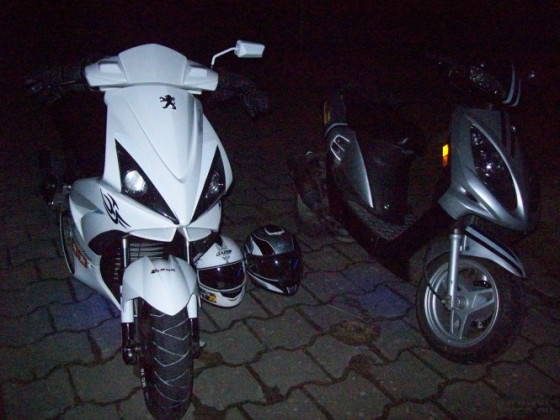 Seedeich:D