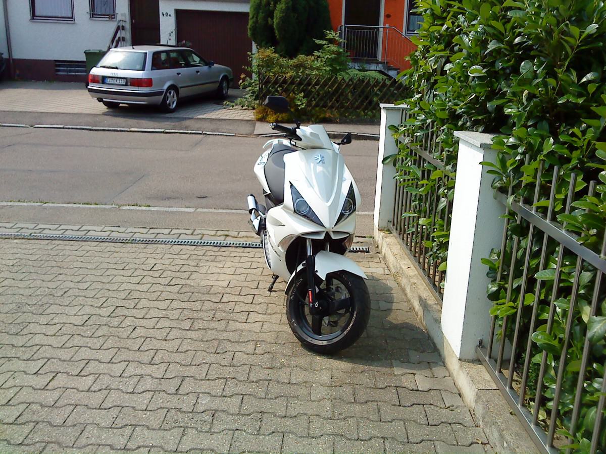 -> Aktuell <-