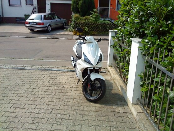 -> Aktuell <-