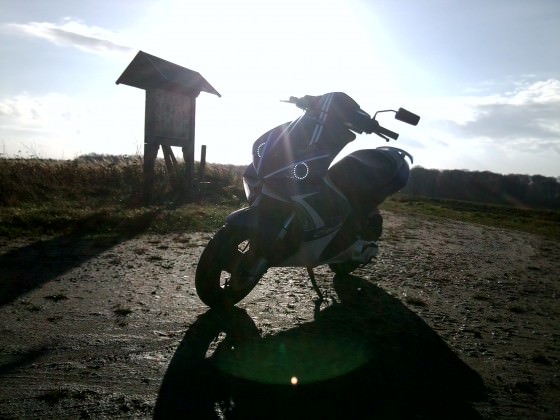 Letzte Bilder :)