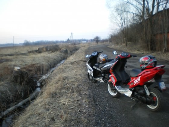IMGP5351