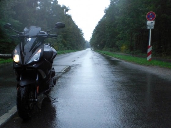 Der Herbst kommt...