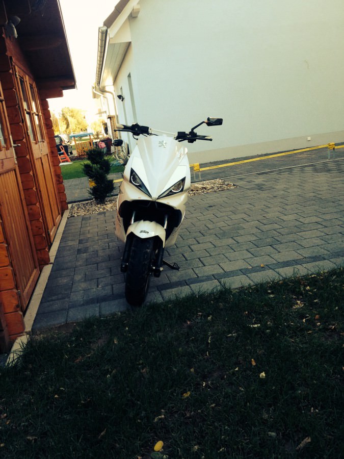 Downi *_*