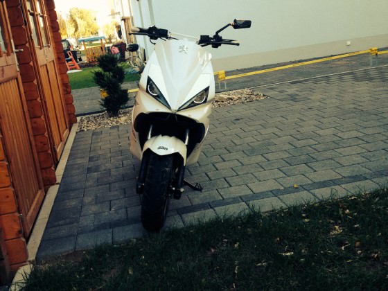 Downi *_*