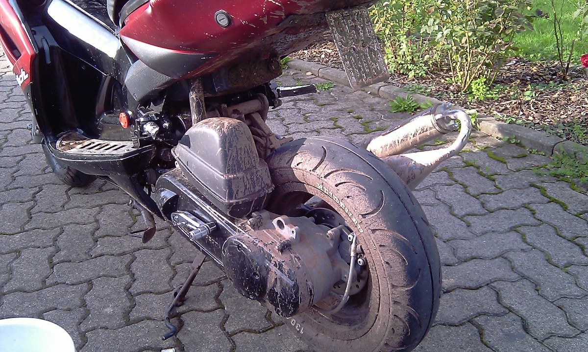 Eine tour durch den Wald :D