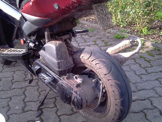 Eine tour durch den Wald :D