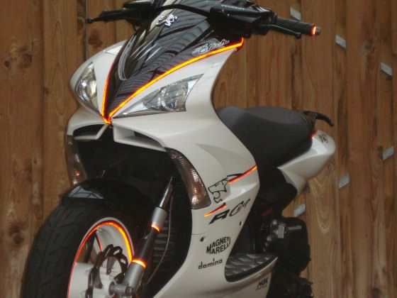 R-Cup aus Holland