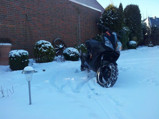 Meiner im Schnee :D