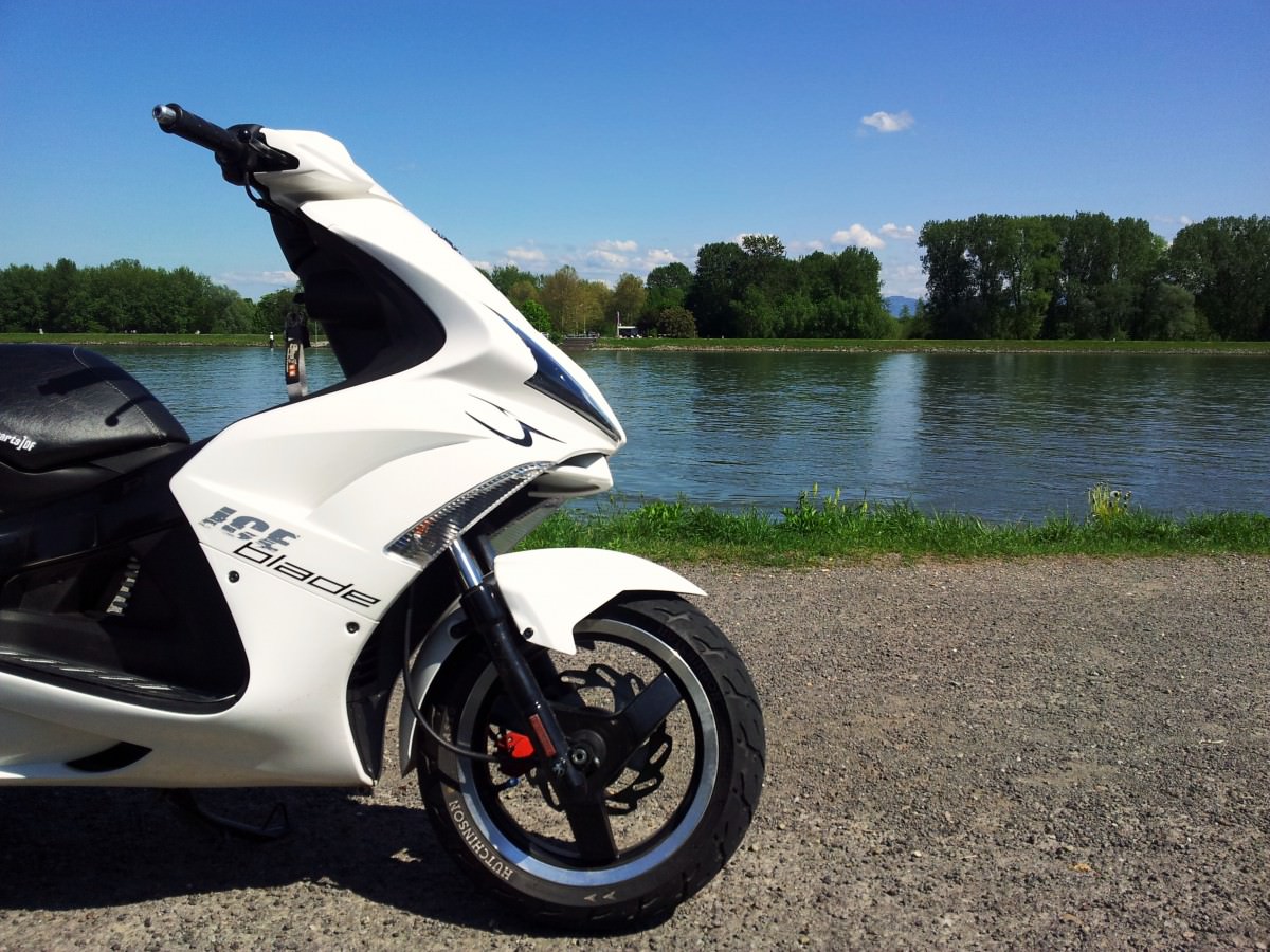 Am und auf dem Rhein :D