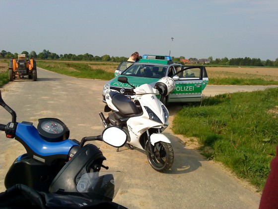 Typisch Bullen -.-