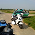 Typisch Bullen -.-