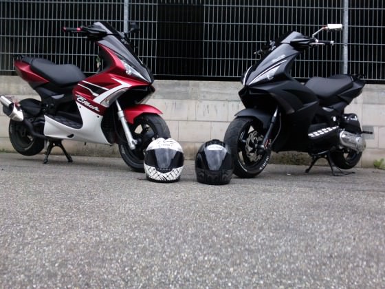 >> Black Vs. Red <<