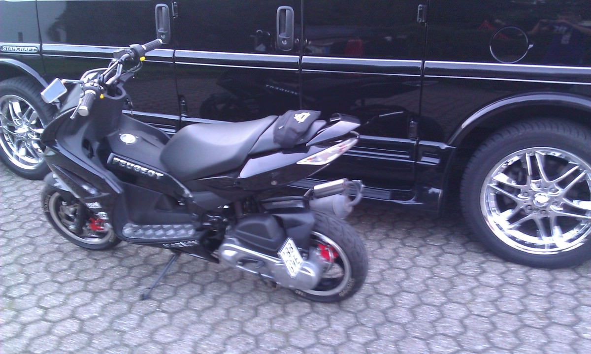 wieder dar