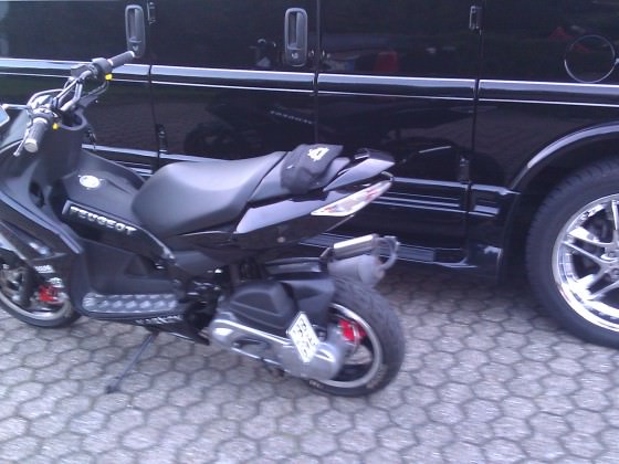 wieder dar
