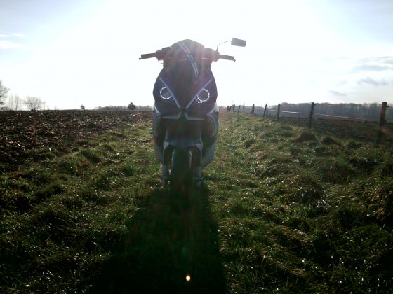 Letzte Bilder :)