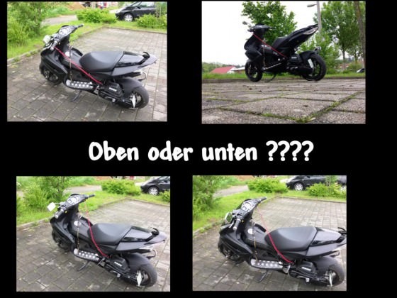 >> Meinungen <<