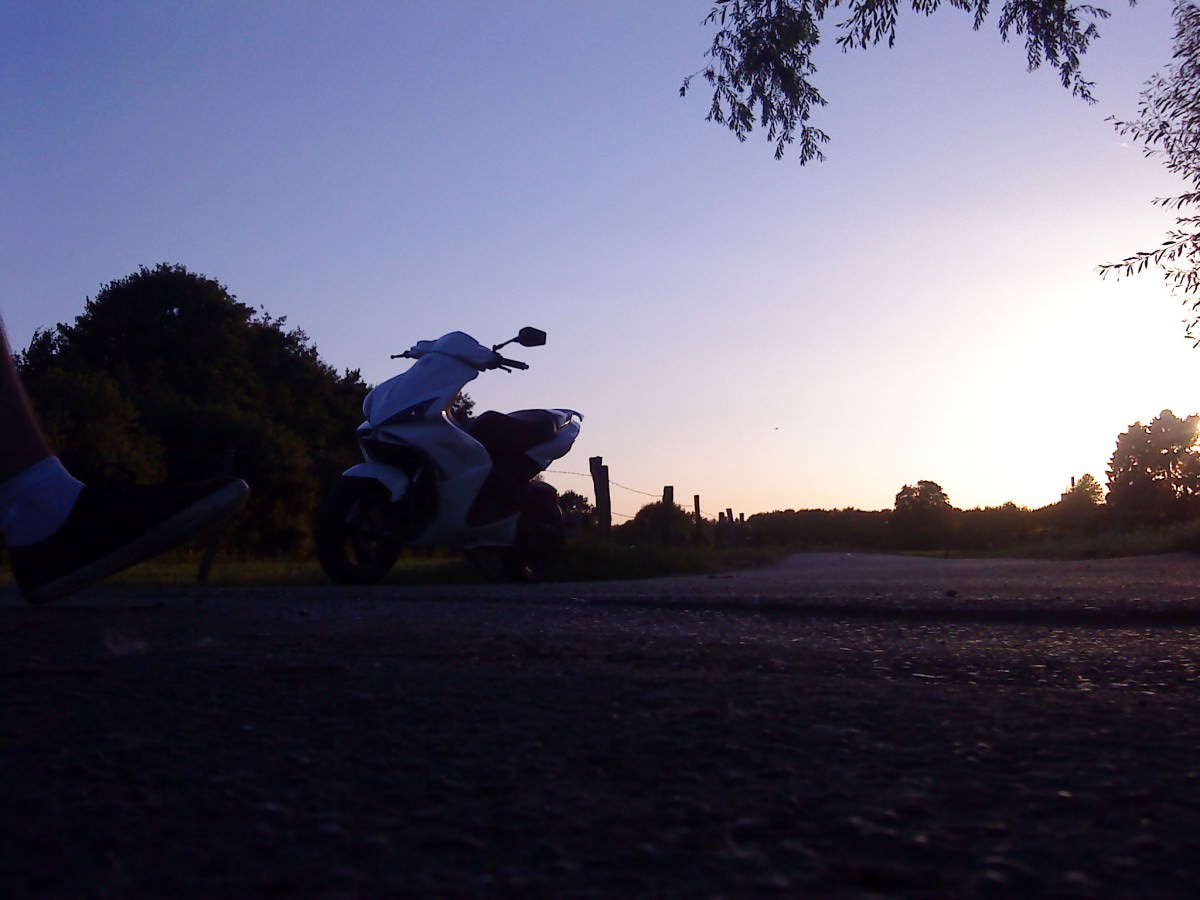 DSC00384