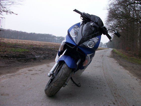 MD000316