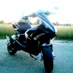 scoots