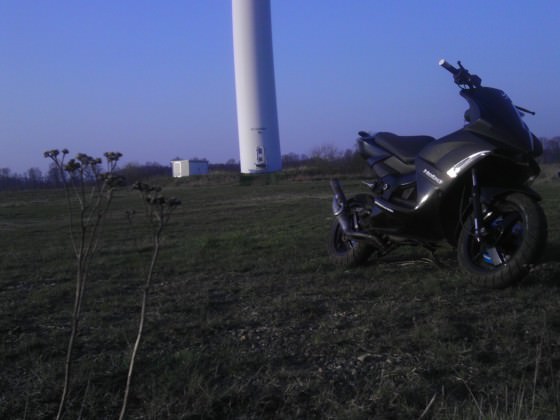 IMAG0061
