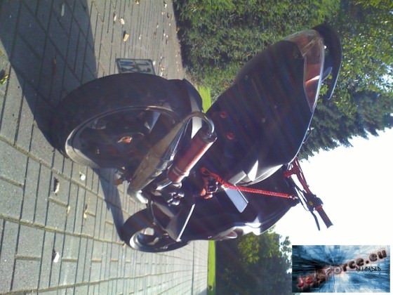 neue bilder