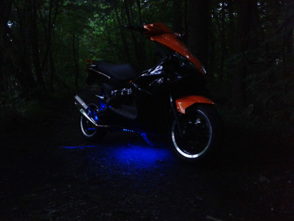 orangeblack jetts