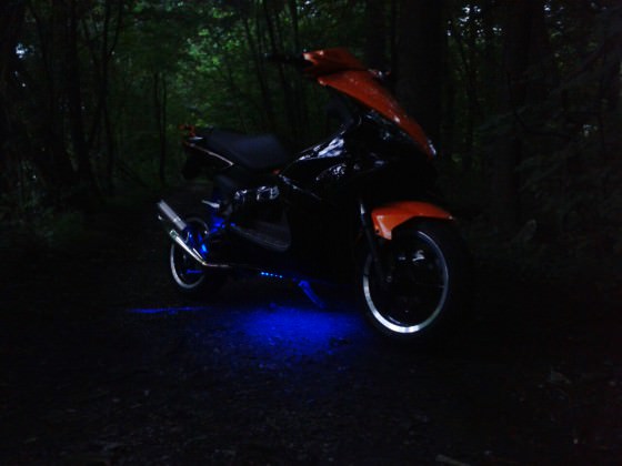 orangeblack jetts
