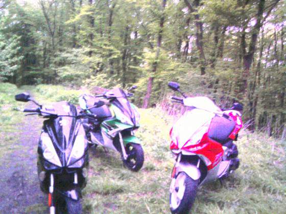 Scheiß Quali