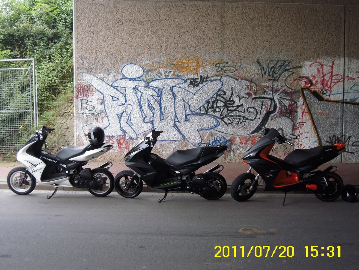 Strippy , LuwoO , Jan_Jet_is