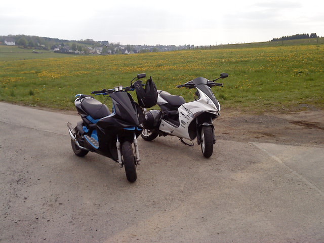 in Schönau