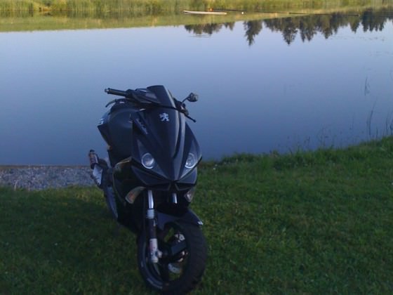 Weiher
