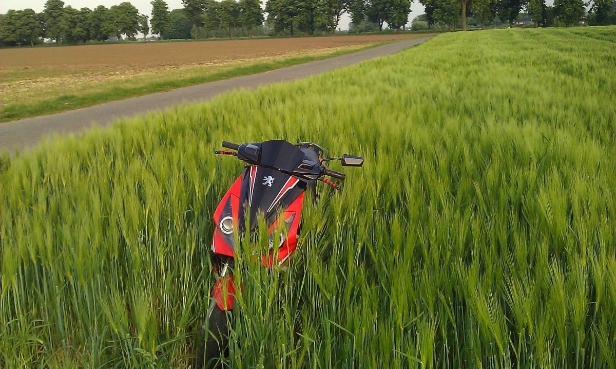 ne abendtour gehaizt und nen paar pics gemacht und