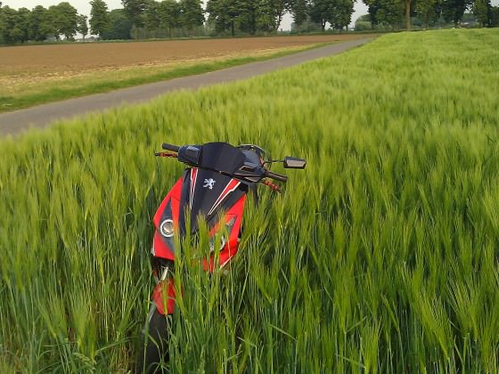 ne abendtour gehaizt und nen paar pics gemacht und