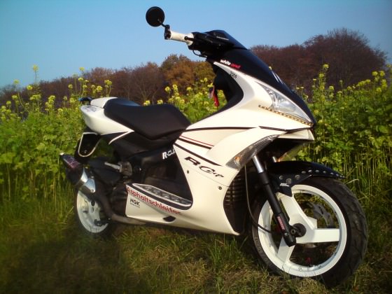 Der Scooter
